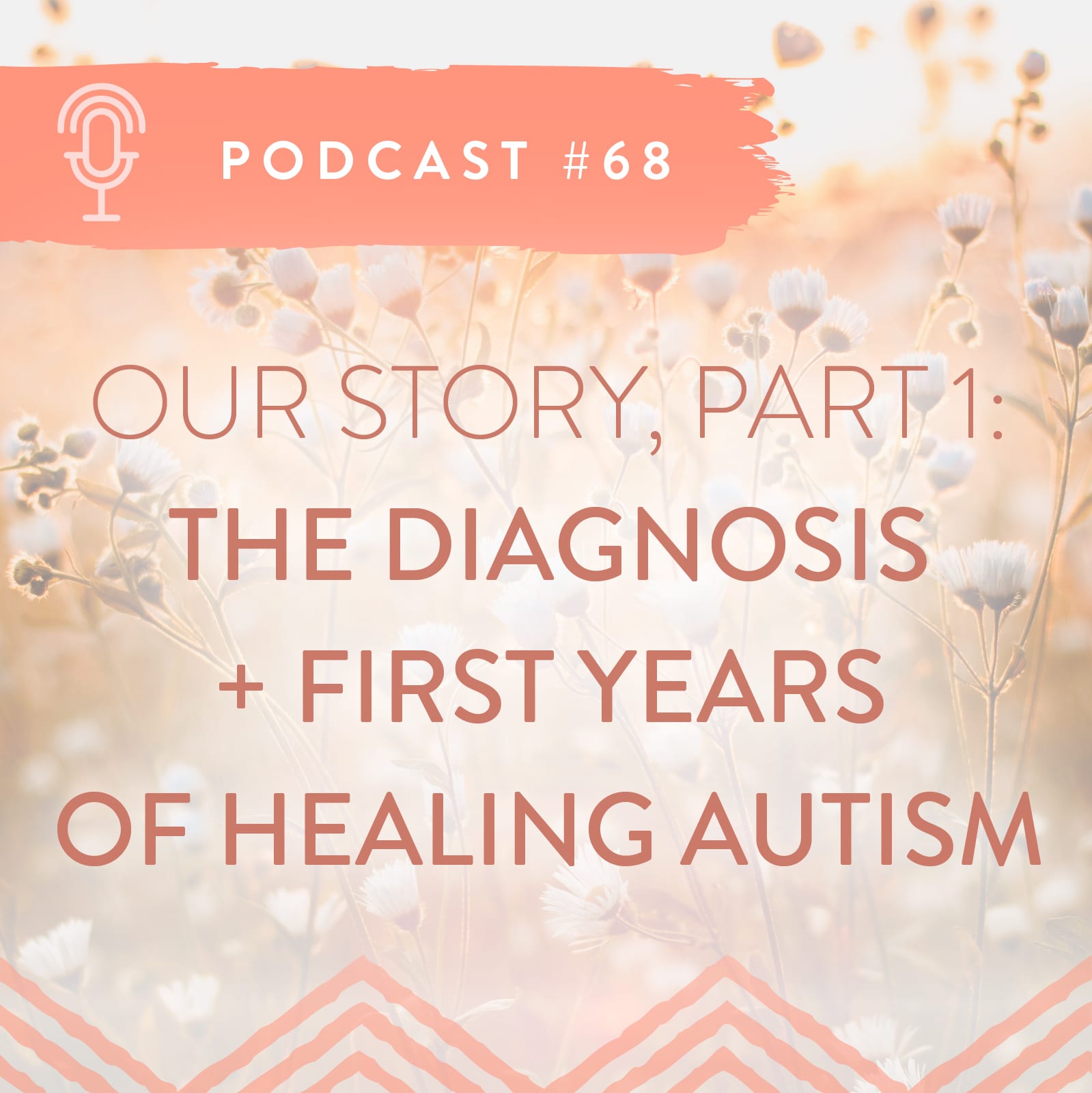 Podcast series: Our autism Turnaround Story part 1.