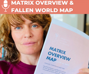 #111 MATRIX OVERVIEW & FALLEN WORLD MAP 