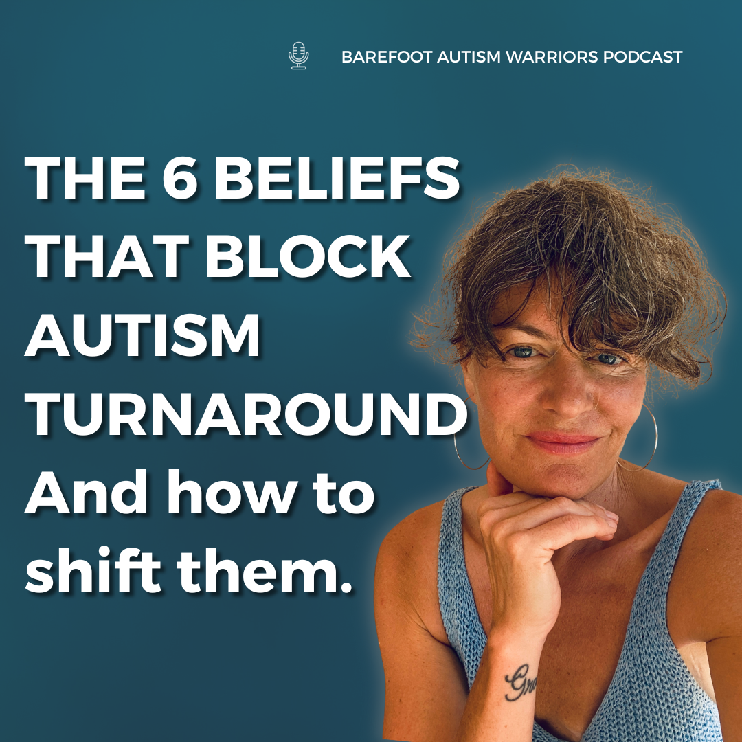 #201 - 6 Autism Recovery Beliefs