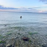 A serene seascape with shallow clear water, algae-covered rocks, and a person standing far out in the water under a pastel sky.